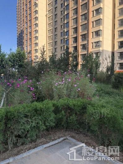 巨华世纪城实景图