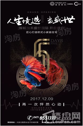 盛世国际效果图