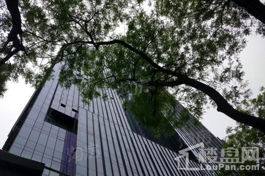 金色堤岸·云境实景图
