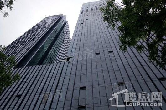 金色堤岸·云境实景图