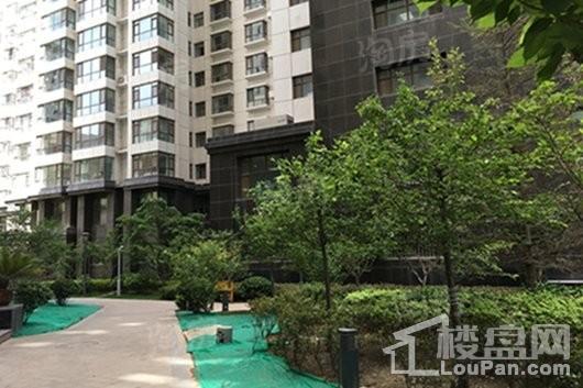 金色堤岸·云境实景图