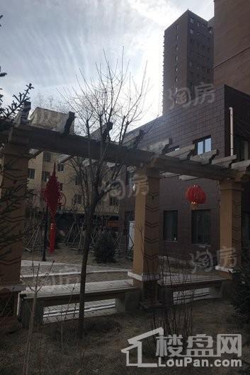 鑫和银座实景图