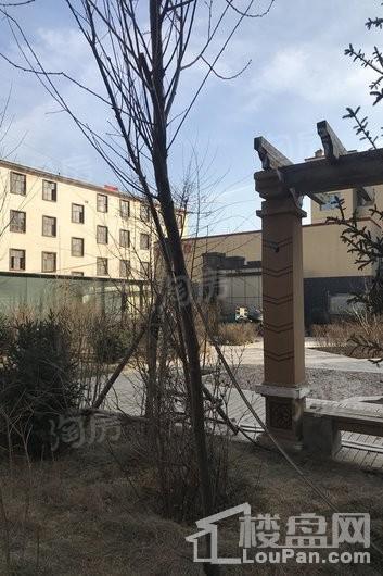 鑫和银座实景图