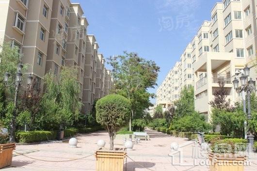 和平嘉园实景图