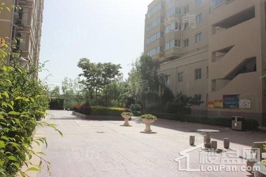 和平嘉园实景图