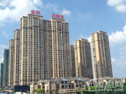 金辉天鹅湾实景图