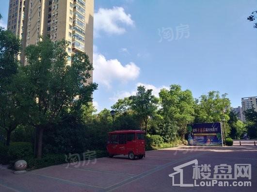 金辉天鹅湾实景图