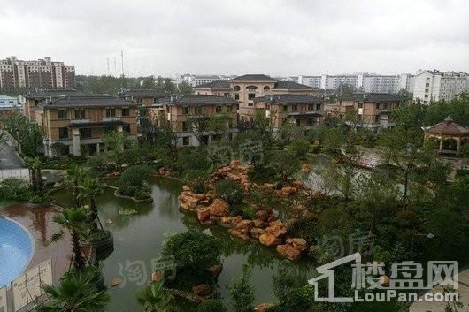 旺江壹品实景图