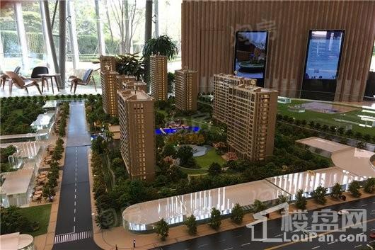 绿城深蓝实景图