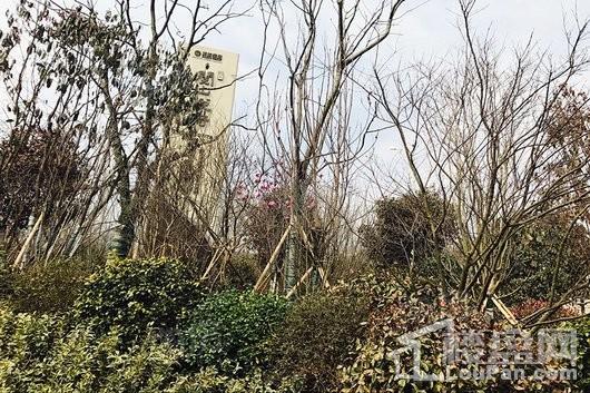 明发·阅山悦府实景图