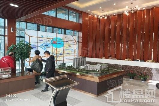 上金天地实景图