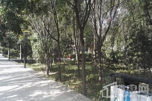 集祥君悦配套图