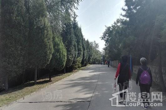 集祥君悦配套图