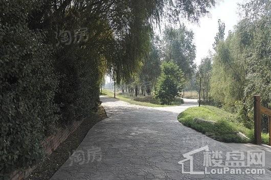 集祥君悦配套图