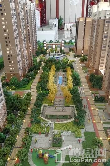 实景图