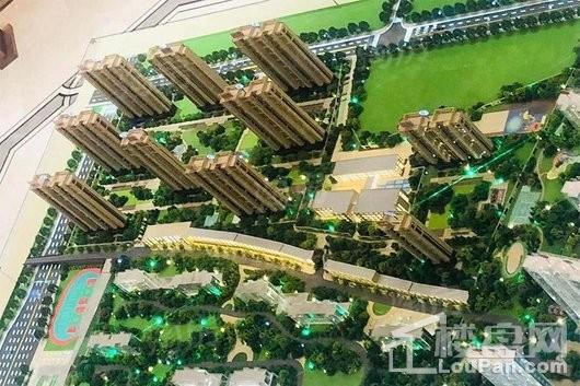 红星·紫御半山实景图