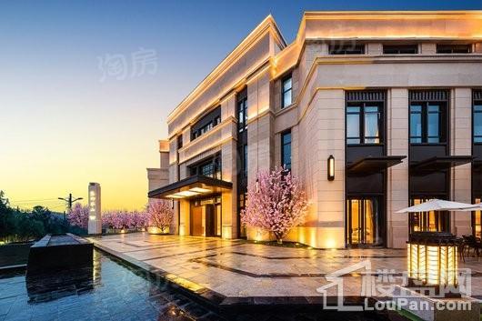 红星·紫御半山效果图