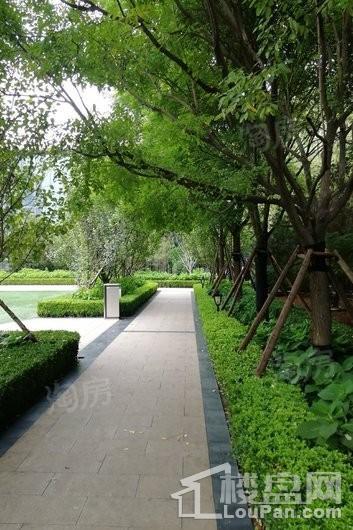 融创·外滩公馆实景图