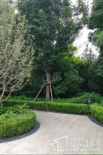 融创·外滩公馆实景图