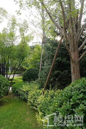 融创·外滩公馆实景图