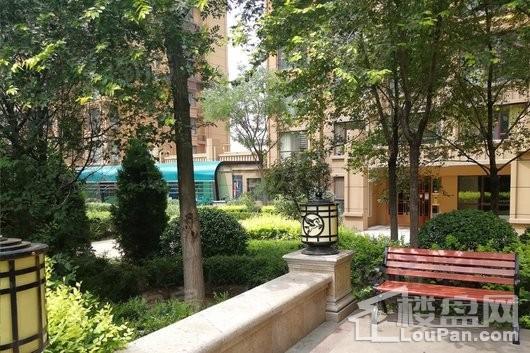 智诚·御河骏景D区实景图