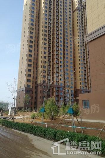 晨煜·唐槐园实景图