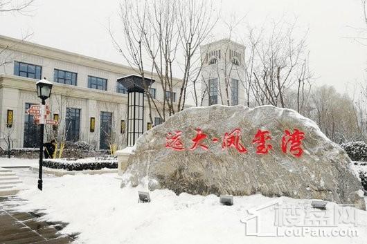 远大·凤玺湾实景图