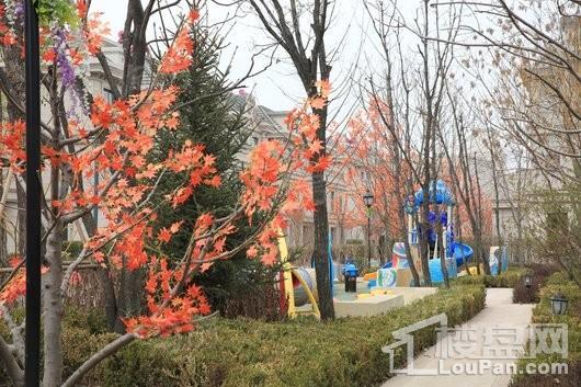 阳光城花满墅实景图