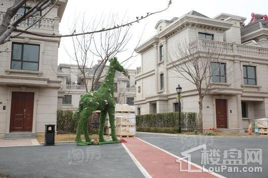 阳光城花满墅实景图