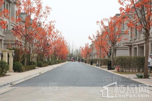 阳光城花满墅实景图