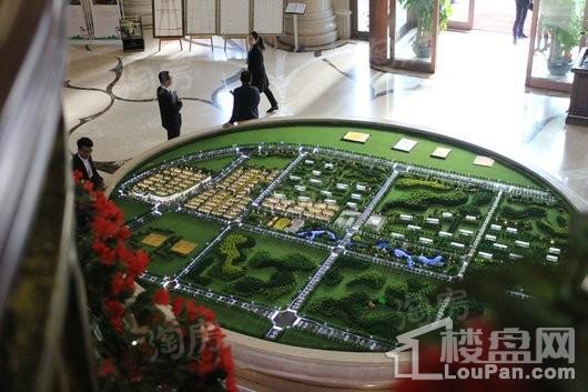 阳光城花满墅实景图