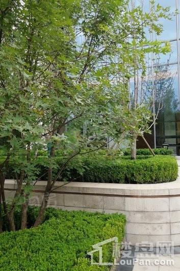 融创外滩壹號实景图