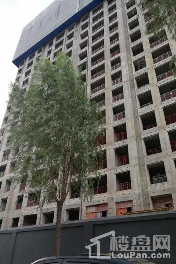 中国铁建·融创·学府壹号院实景图