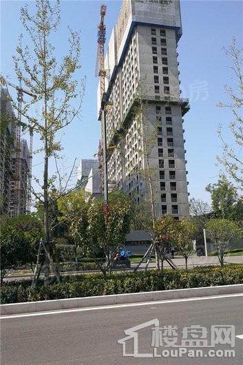 中国铁建·融创·学府壹号院实景图