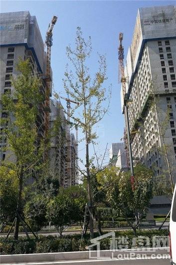 中国铁建·融创·学府壹号院实景图