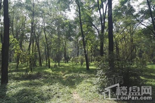 万科太原小镇配套图