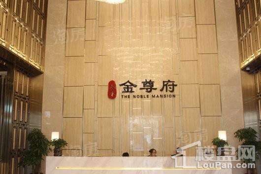 泰禾金尊府实景图