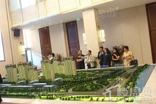 泰禾金尊府实景图