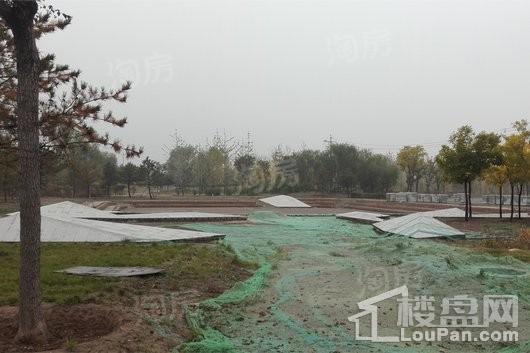 泰禾金尊府配套图