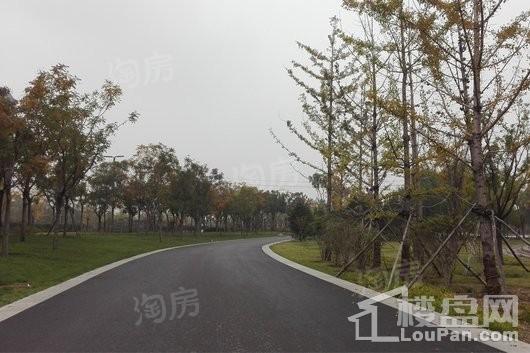泰禾金尊府配套图