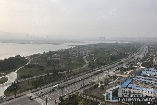 泰禾金尊府配套图