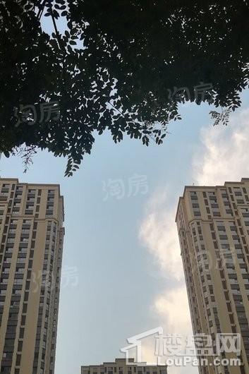 中正·锦城实景图