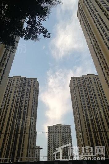 中正·锦城实景图