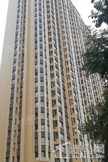 中正·锦城实景图