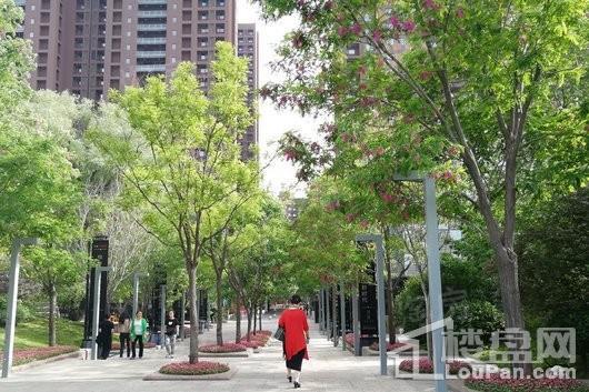 万科长风公馆实景图