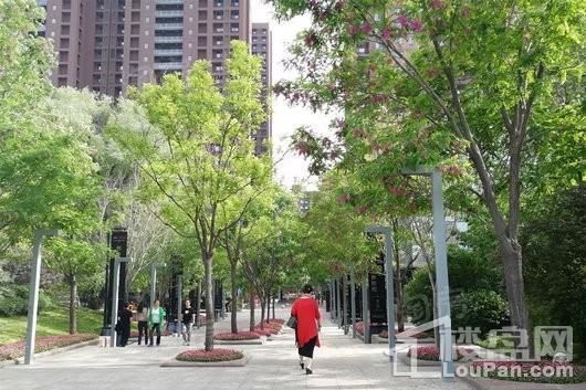 万科长风公馆实景图