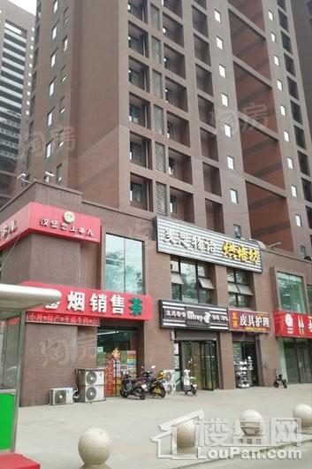 万科长风公馆配套图