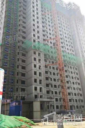 实景图