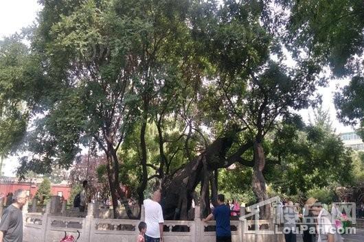 锦绣·名邸配套图