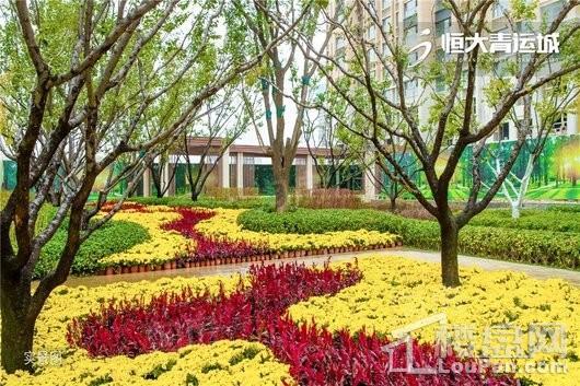 恒大青运城实景图